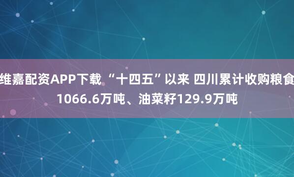 维嘉配资APP下载 “十四五”以来 四川累计收购粮食1066.6万吨、油菜籽129.9万吨