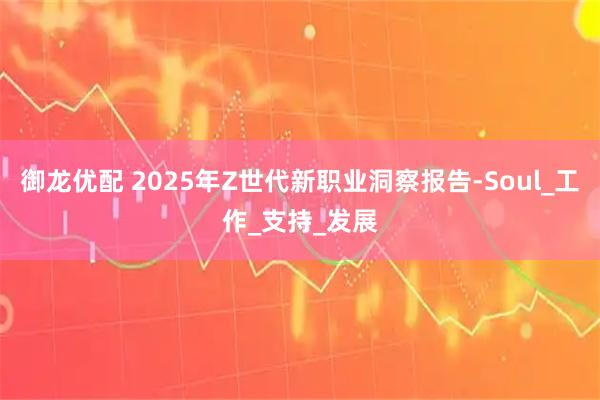 御龙优配 2025年Z世代新职业洞察报告-Soul_工作_支持_发展