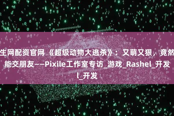 财生网配资官网 《超级动物大逃杀》：又萌又狠，竟然还能交朋友——Pixile工作室专访_游戏_Rashel_开发